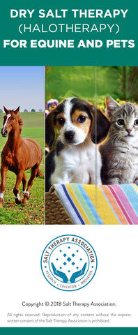 Equine and Pets (100 pack)